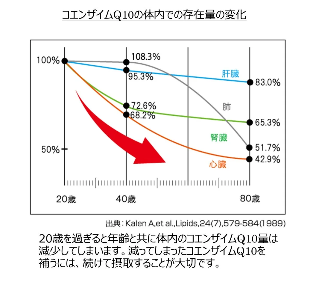 コエンザイムQ10の体内存在量の変化