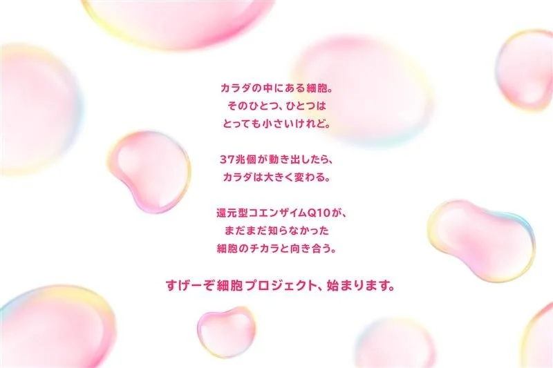 プロジェクトのステートメント