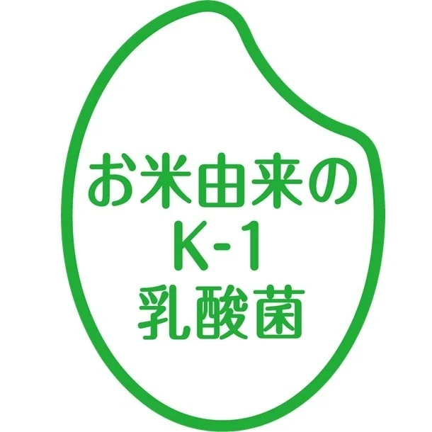 K-1乳酸菌の解説画像