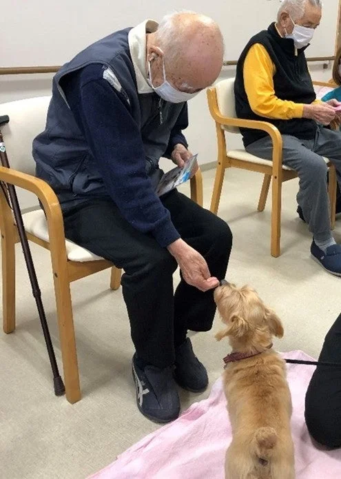 犬をなでる入居者