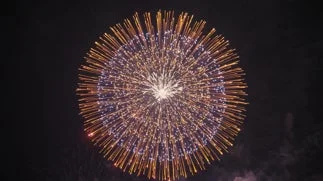 冬の夜空に広がる花火