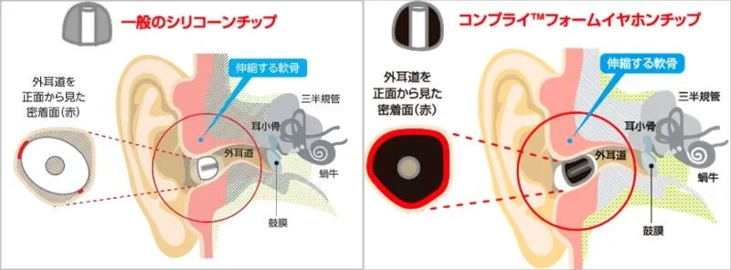 シリコンチップとコンプライフォームの密着比較