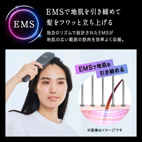 EMSモード説明1