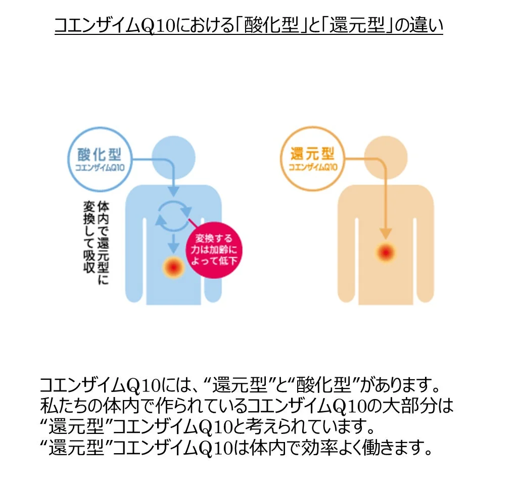 酸化型と還元型の違い