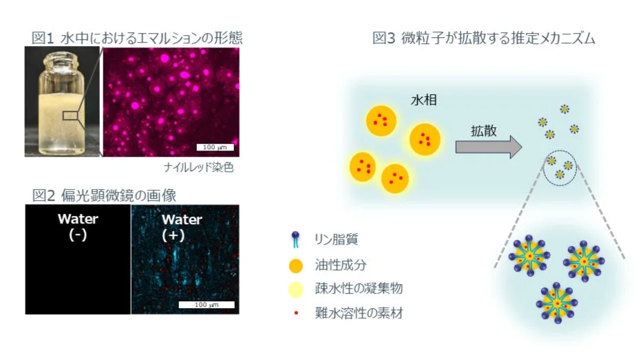 クリルオイル×MCTマトリックス