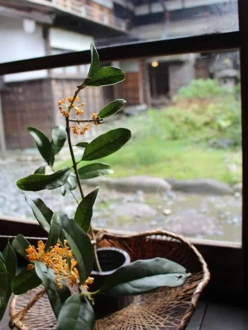 茶道体験の様子