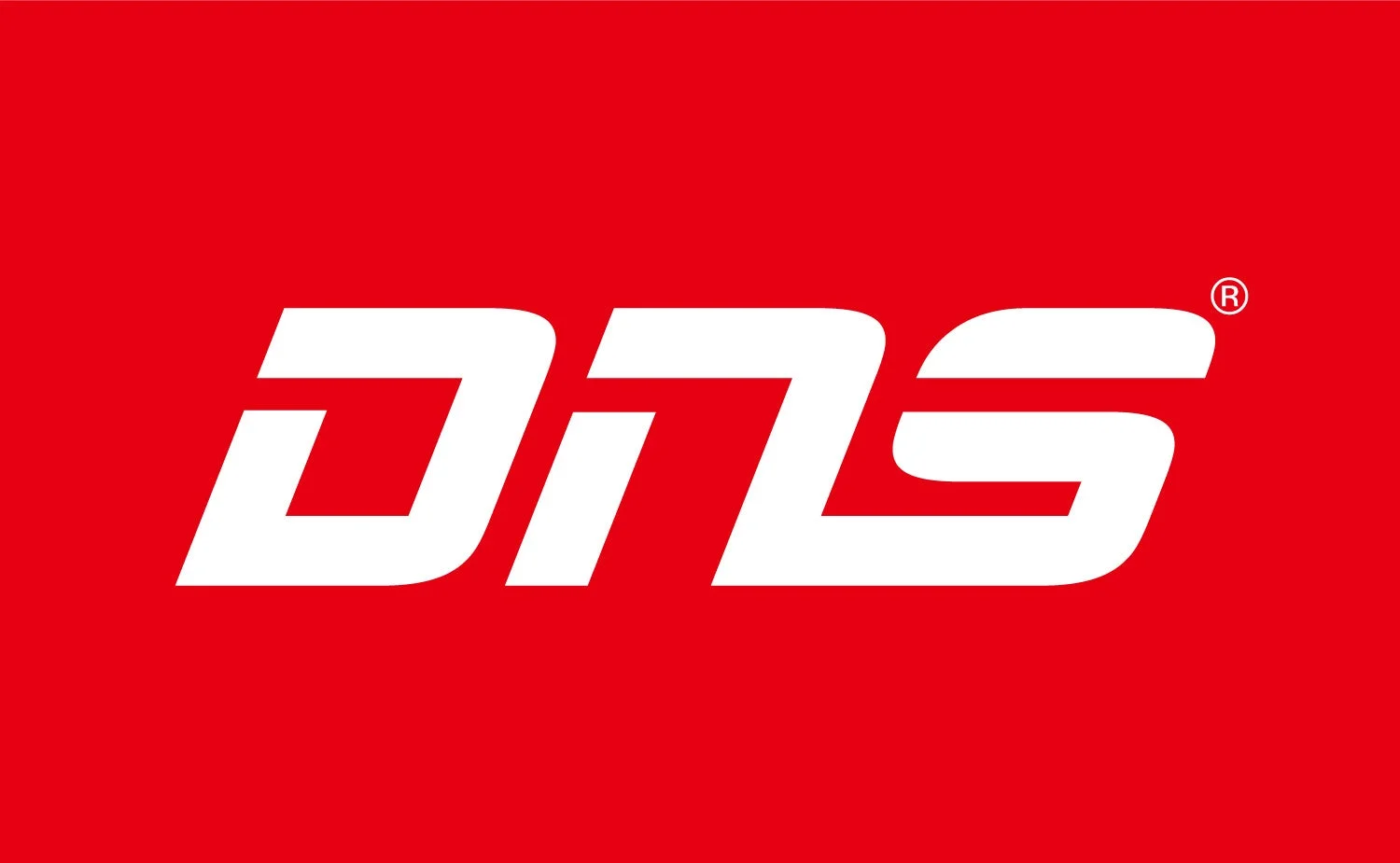 DNSロゴ