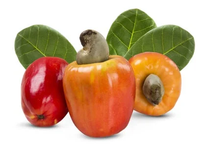 カシューアップル