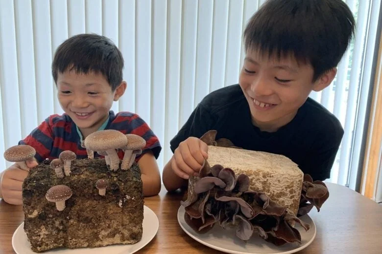 きのこ栽培を観察する子供たち