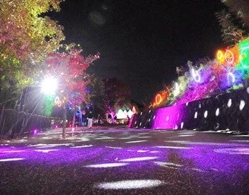 色とりどりの光で彩られた道