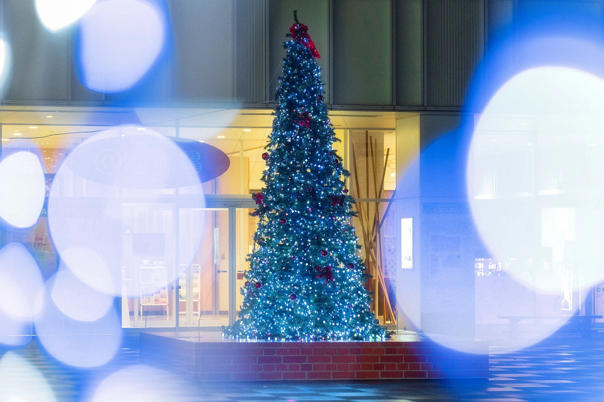 イルミネーションの様子2