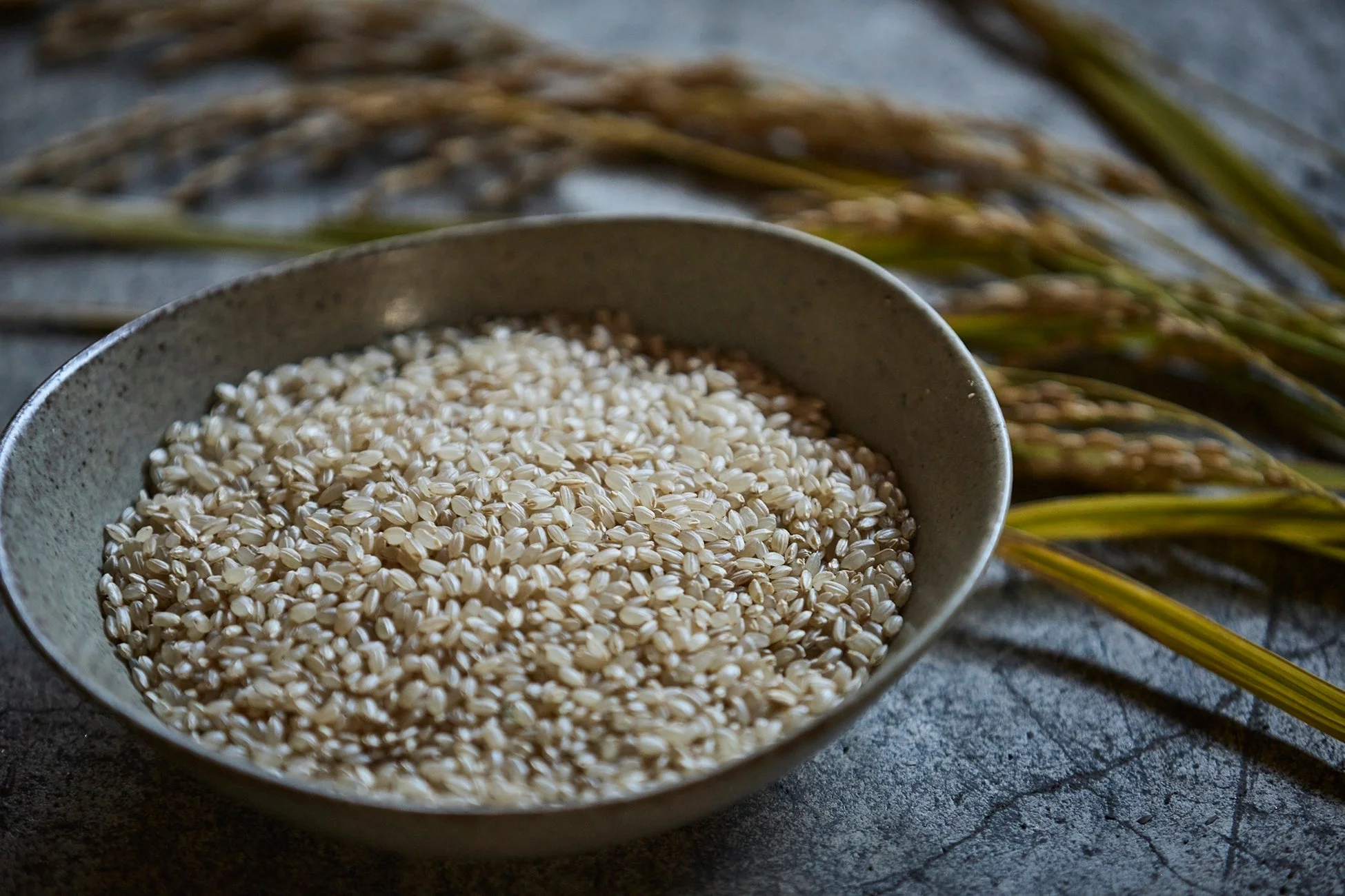 器に盛られた玄米と稲穂