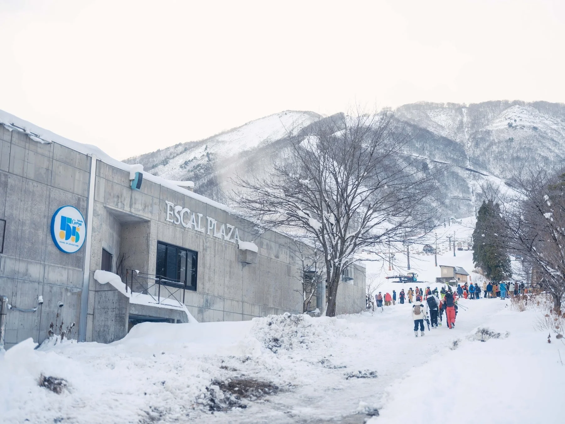 白馬五竜スキー場の雪景色