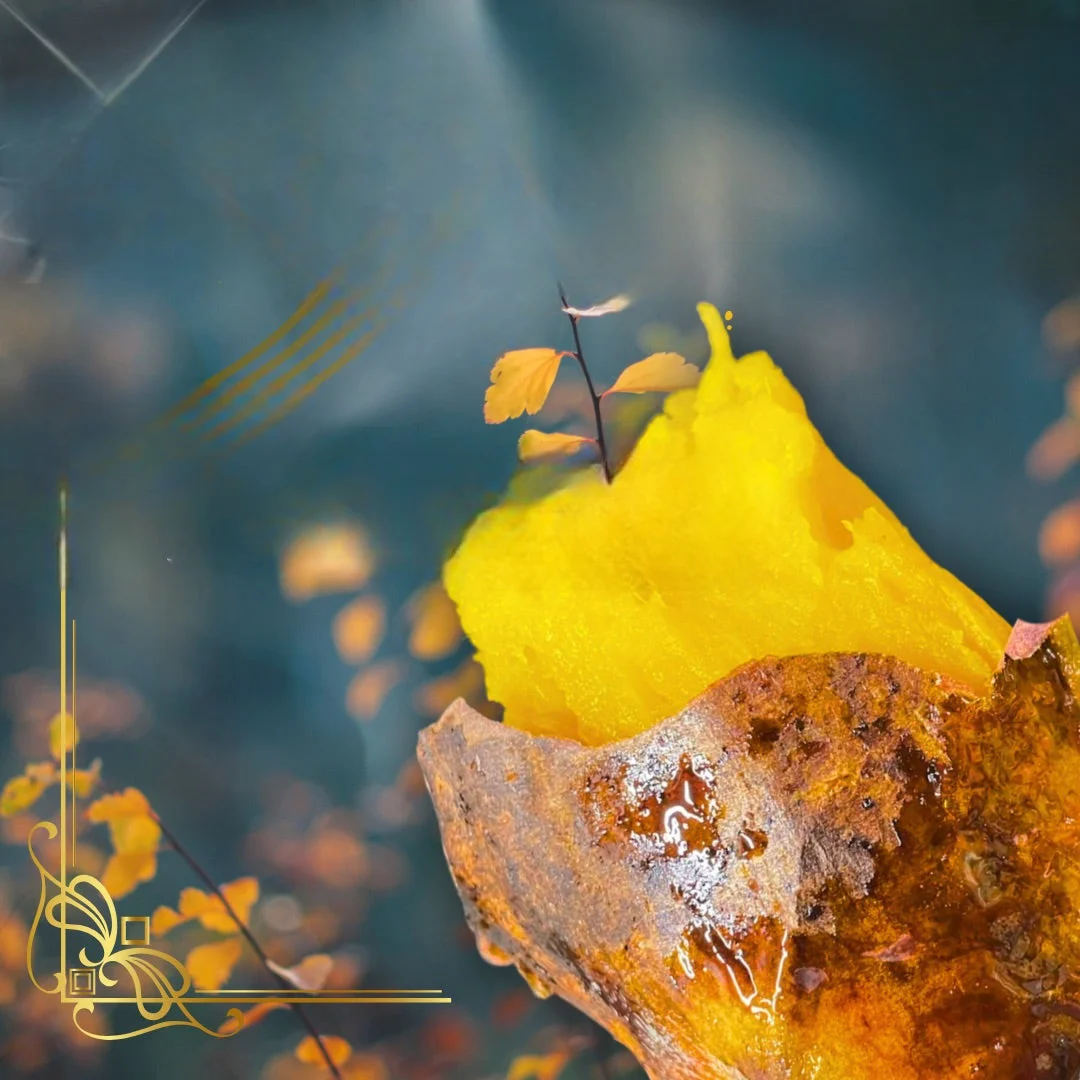 日比焼き芋 HIBIYAKIIMO Tokyoの日比焼き芋の『みのシルク』