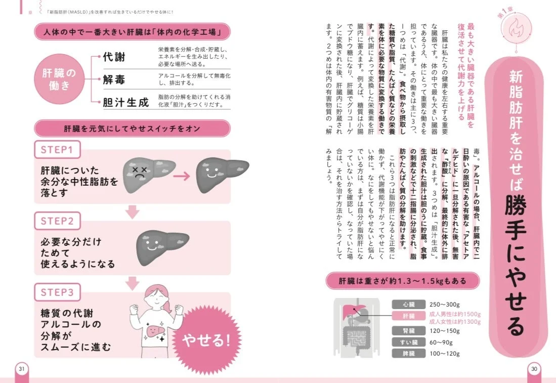 新脂肪肝改善で痩せるメカニズム