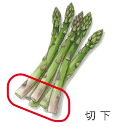 アスパラガス
