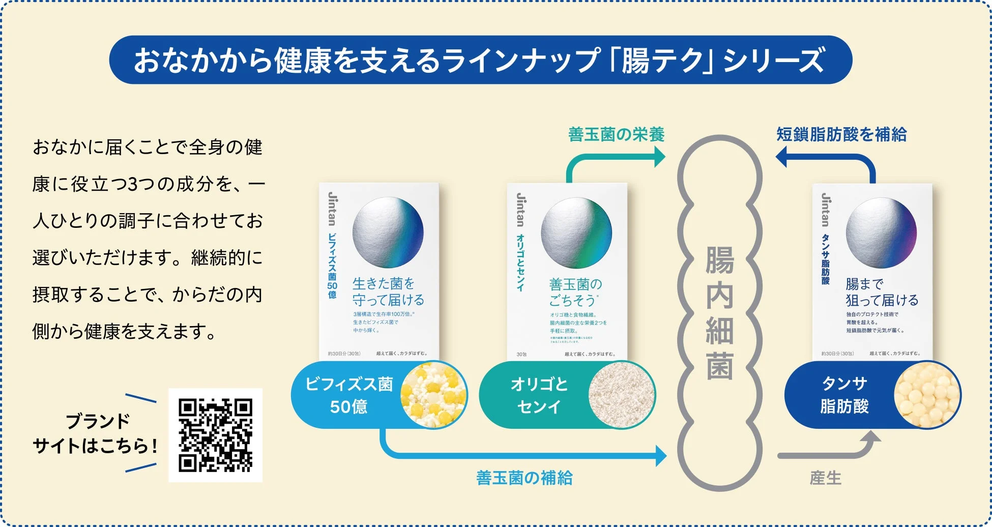 おなかから健康を支えるラインナップ「腸テク」シリーズ