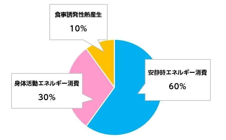 人間の総エネルギー消費の内訳を示す円グラフ