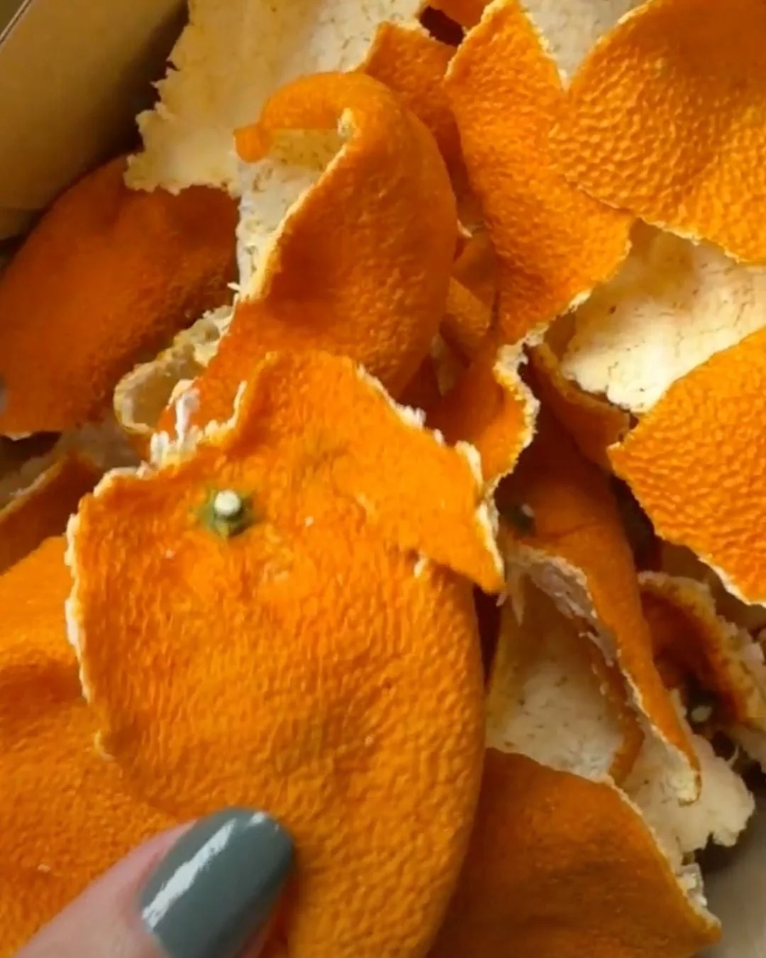 丸茂農園のみかんの果皮