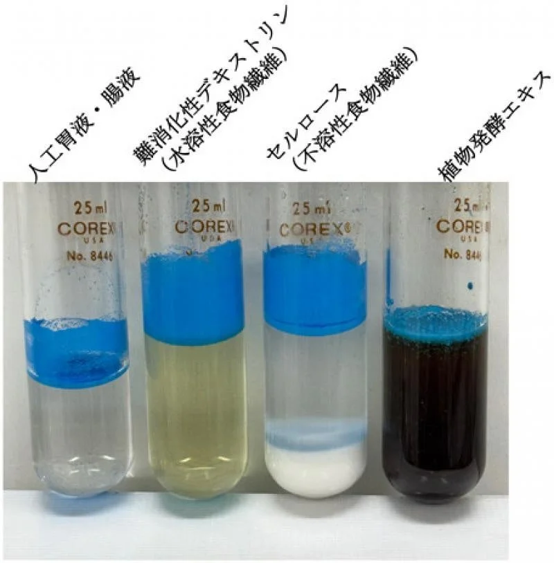 人工胃液・腸液での実験