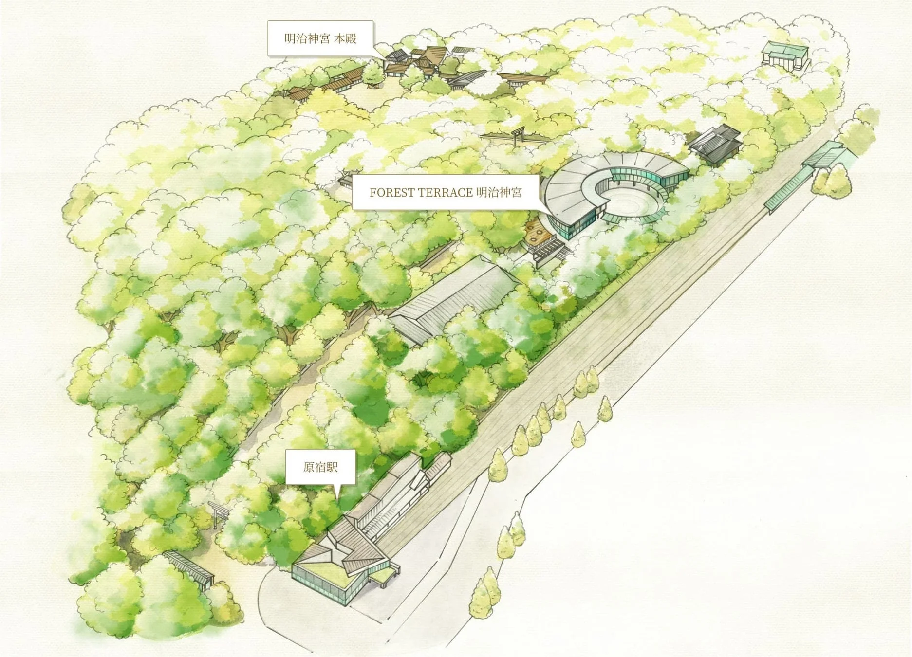 明治神宮周辺地図