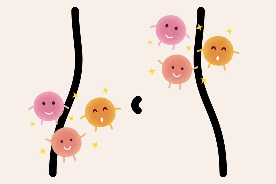 腸活,腸内フローラ,善玉菌,健康,医療,イラスト,腹部,微生物,キャラクター,可愛い,ポジティブ