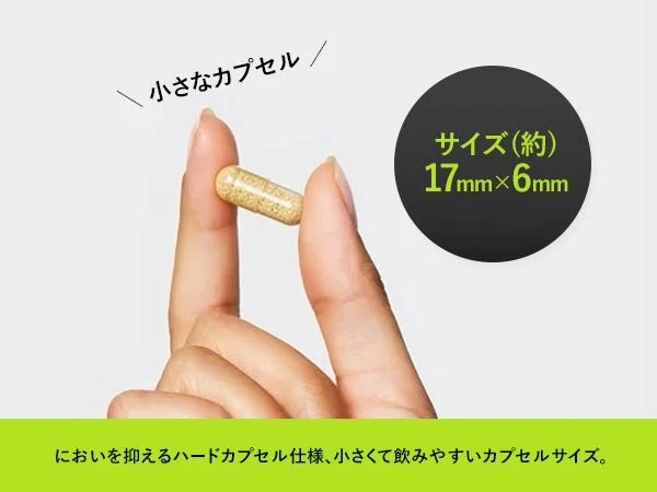 小さなカプセルのサイズ