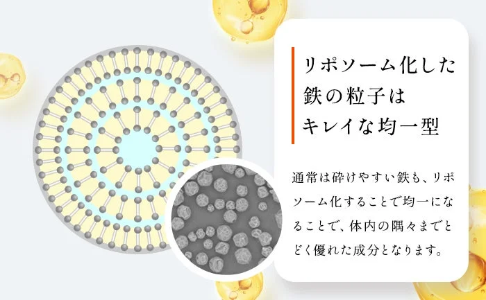 リポソーム化された鉄の粒子