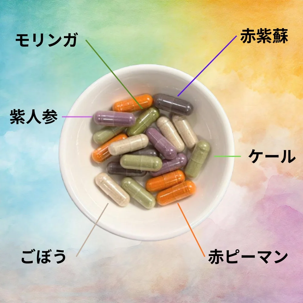 モリンガ、紫人参、ごぼう、赤紫蘇、ケール、赤ピーマンのカラフルなカプセル