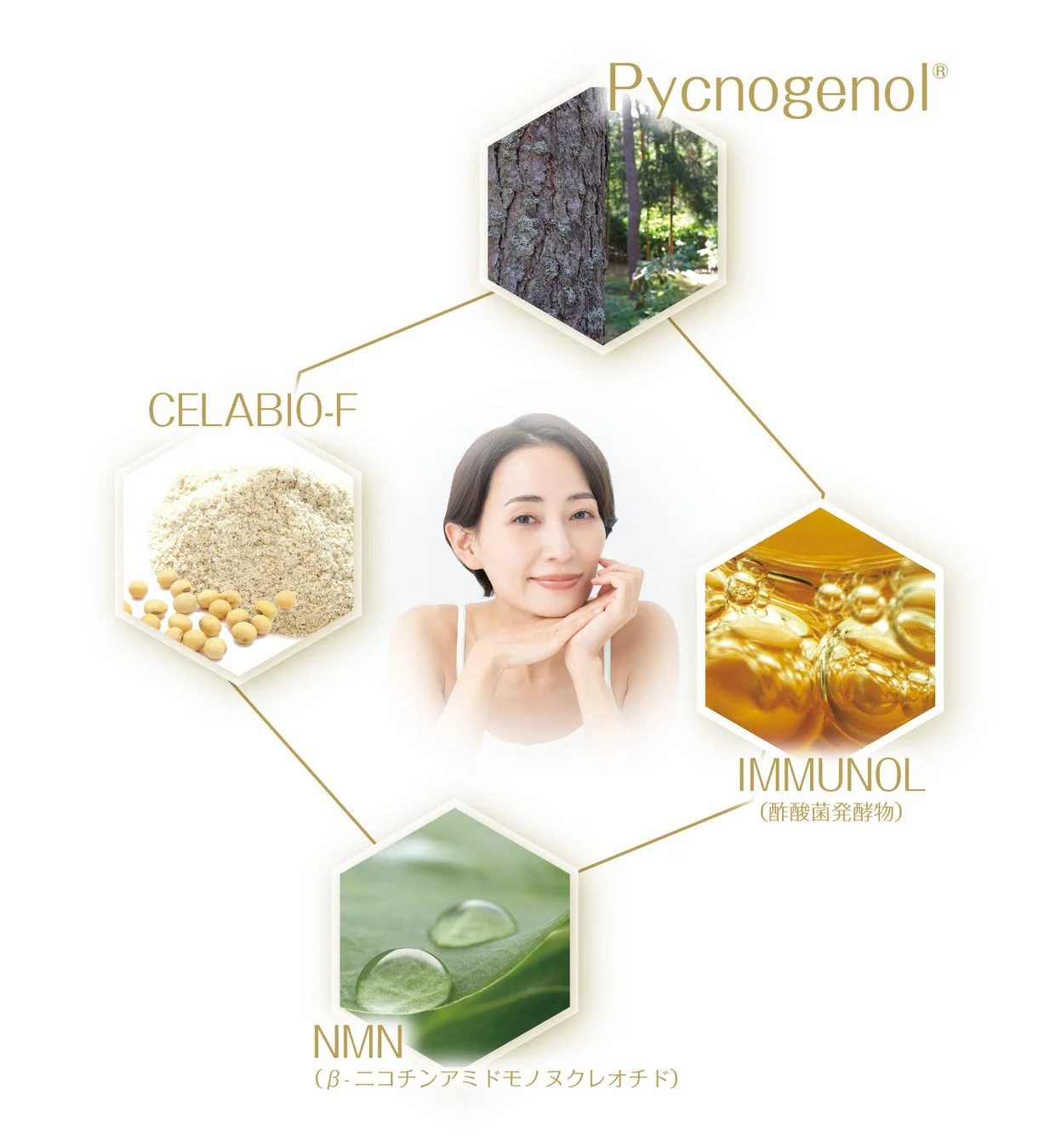 9種類の自然由来素材の紹介