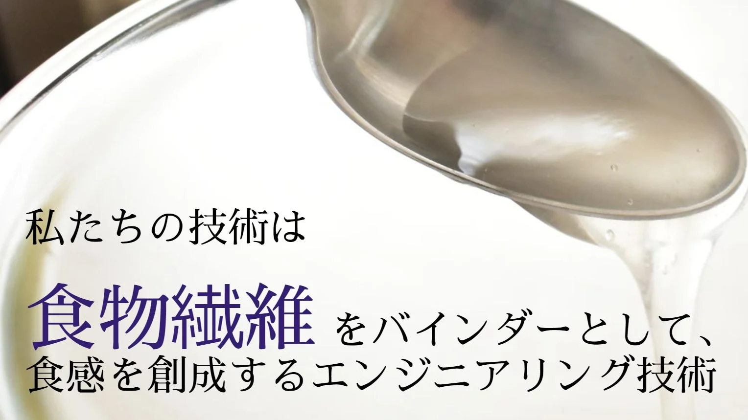 食物繊維の技術説明