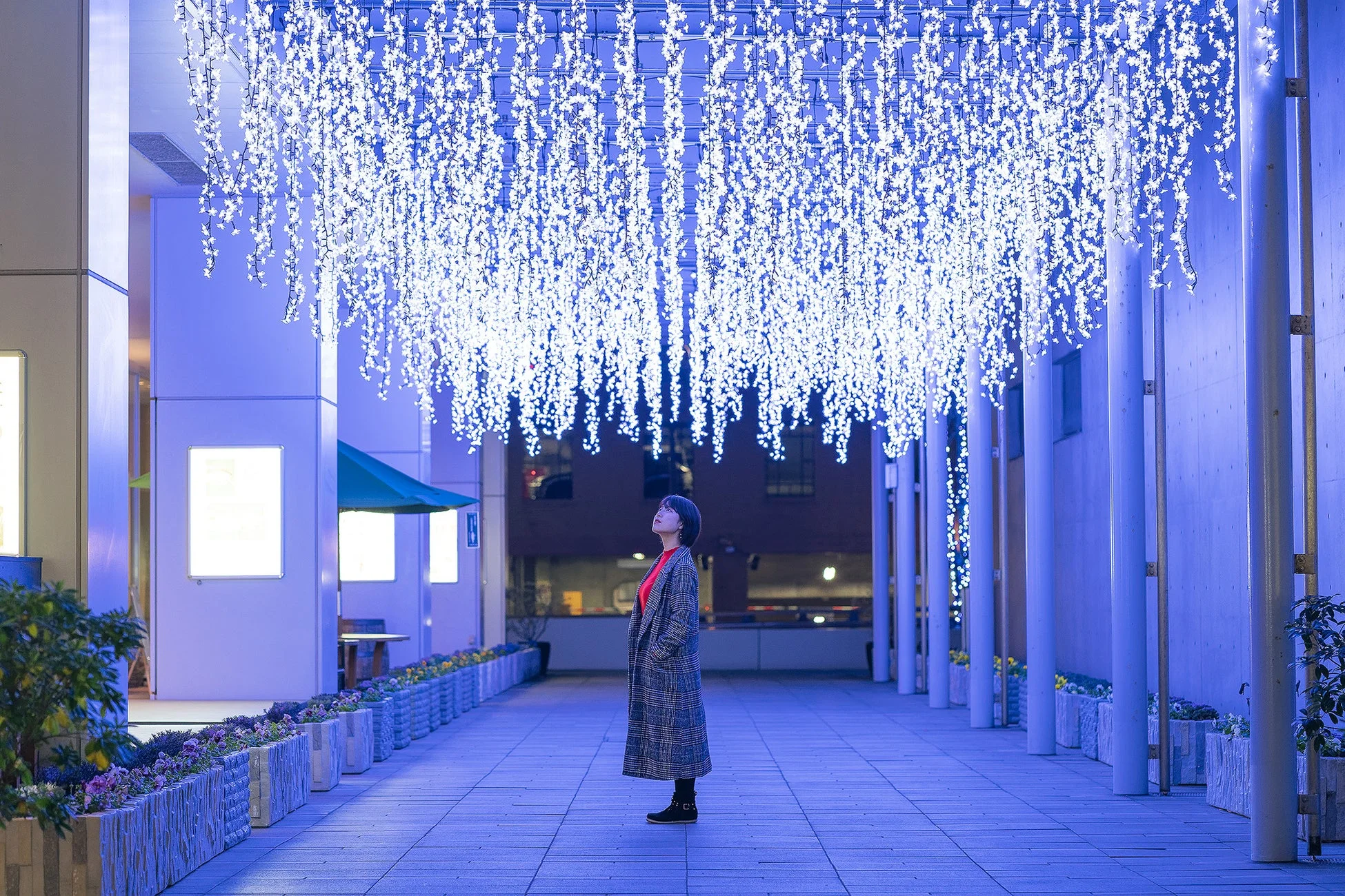 イルミネーションの様子1