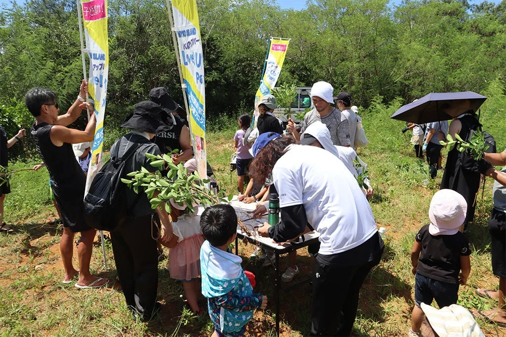 ガジュマル植林