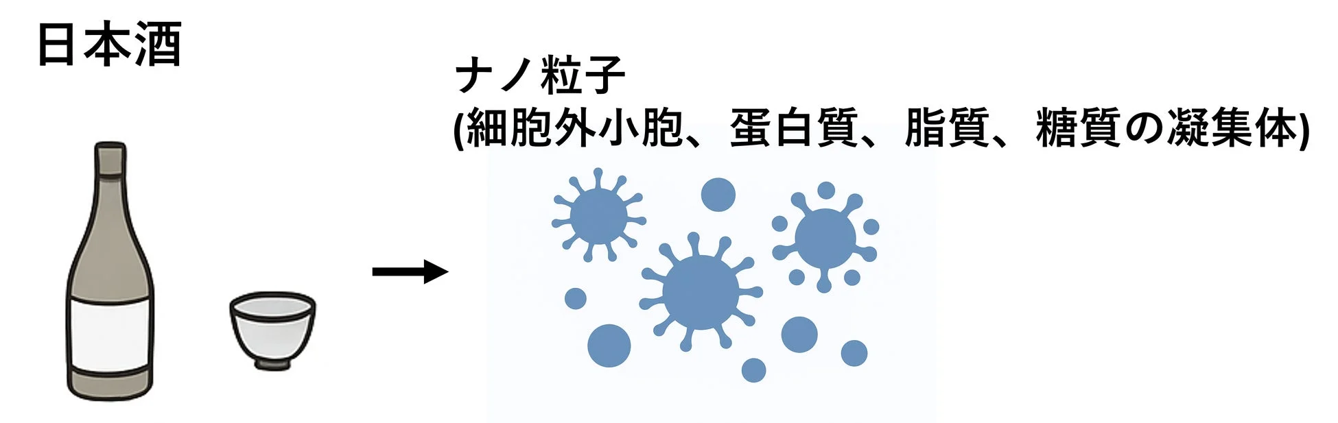 日本酒由来ナノ粒子の図