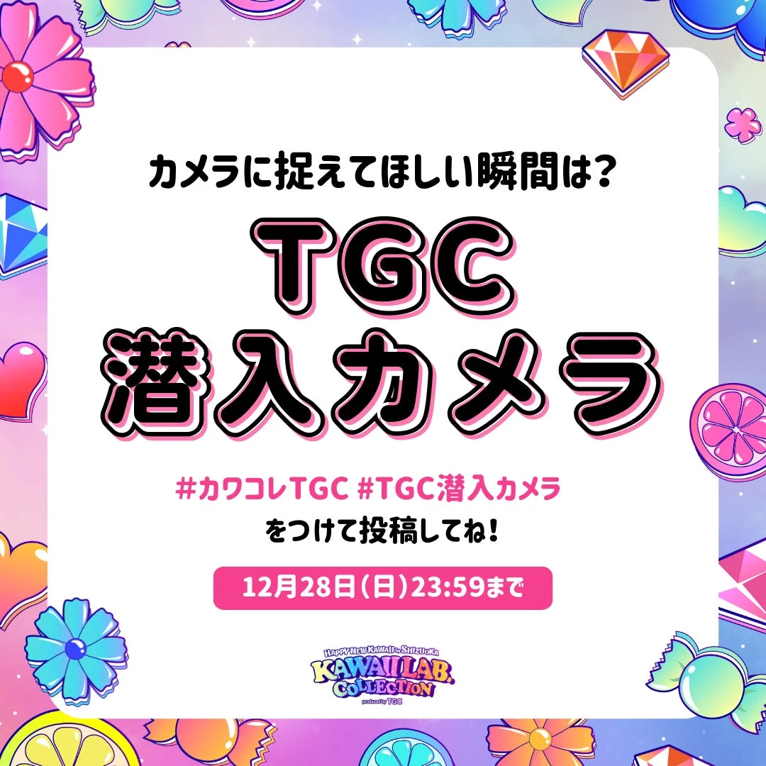 TGC潜入カメラ募集告知