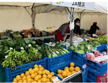 旬の野菜が並ぶミニマルシェ