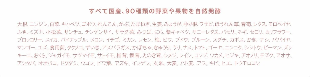 国産90種類の野菜や果物のリスト