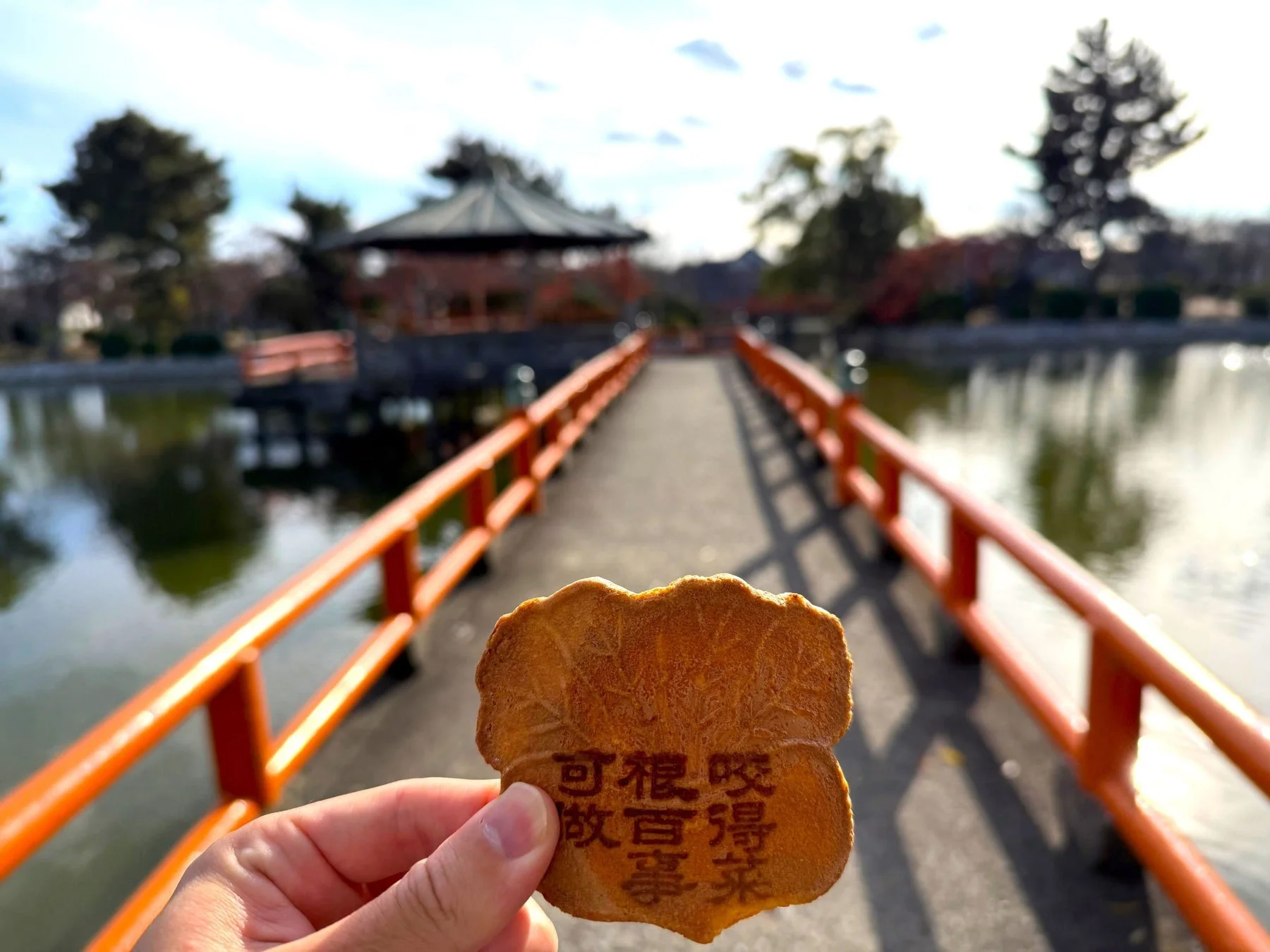 和菓子と日本庭園