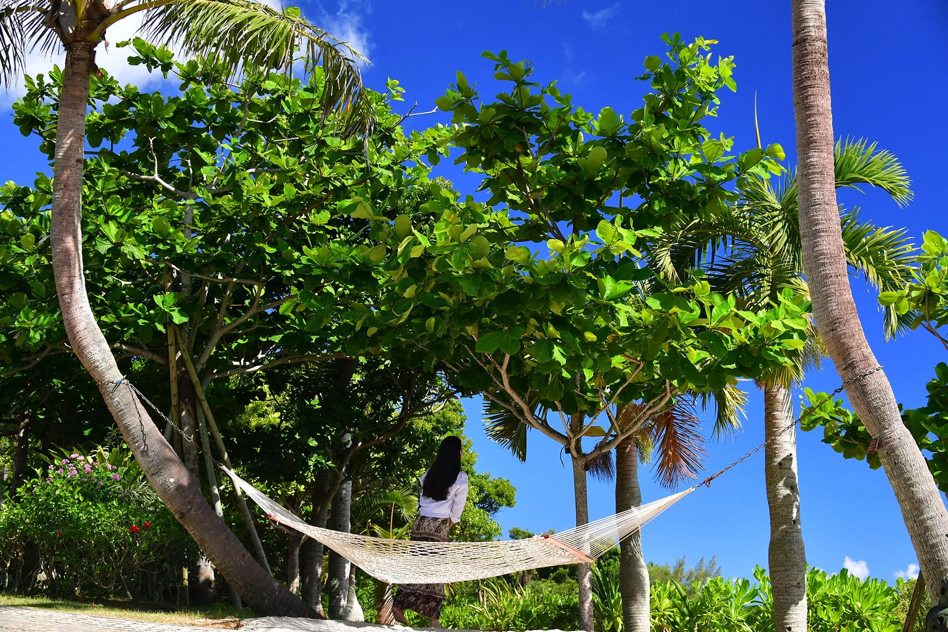 南国リゾート風景