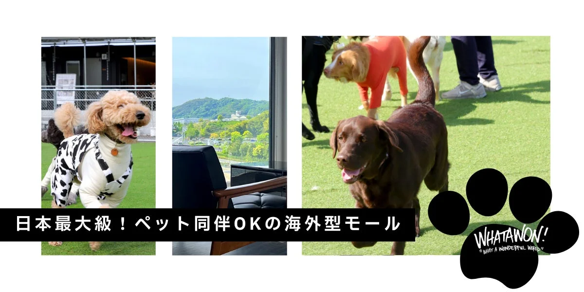 犬と人が楽しむWHATAWONの施設イメージ