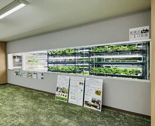 サスティナブルコンテンツツアー