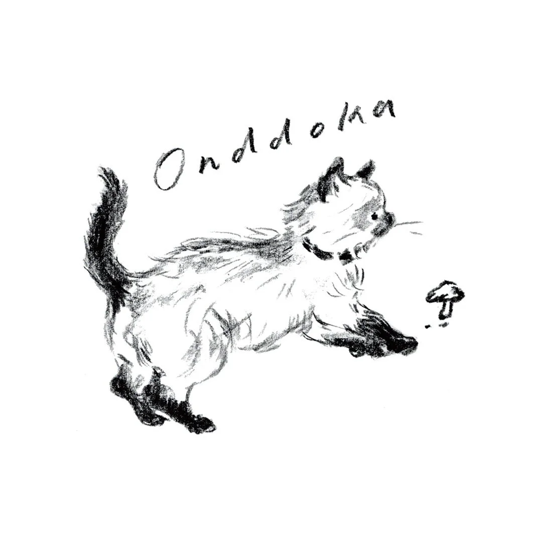 猫とキノコのイラスト