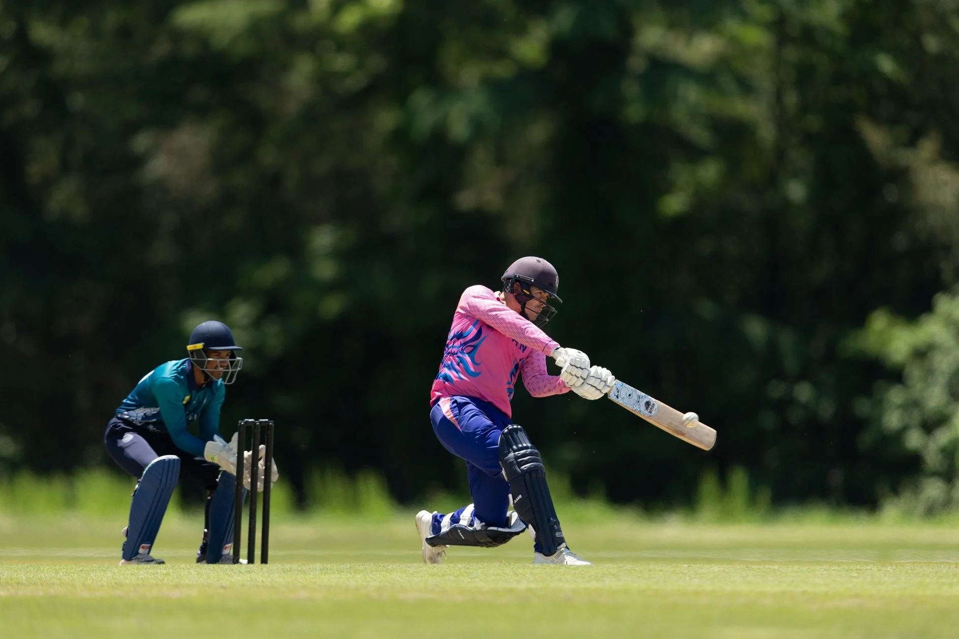 クリケットの試合風景
