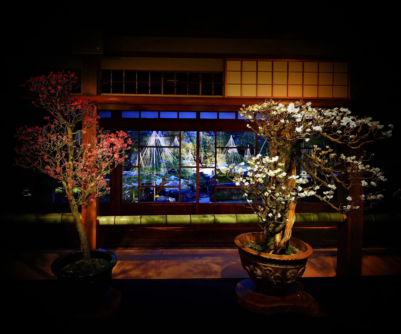 夜間ライトアップされた盆栽と日本庭園