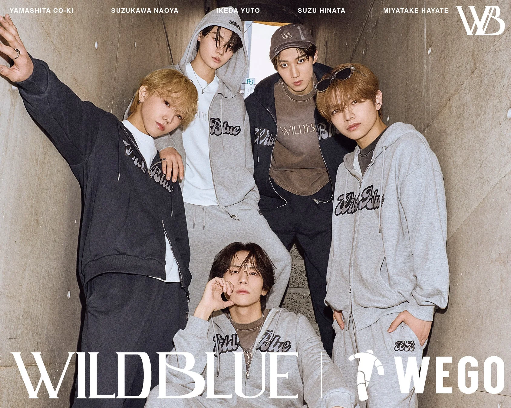 WEGOとWILD BLUEのコラボレーションアイテム
