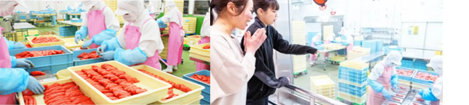 明太子工場見学の様子