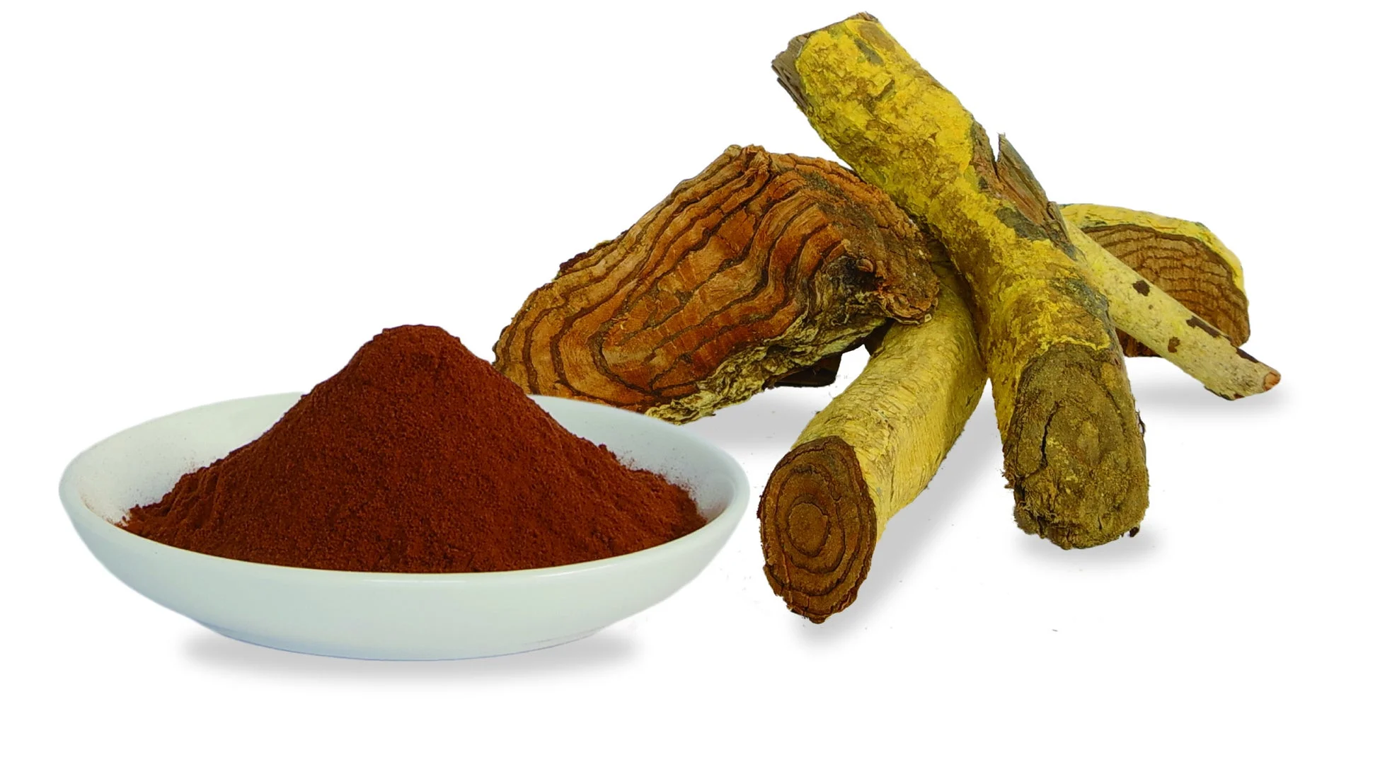 サラシアエキス粉末（原料）