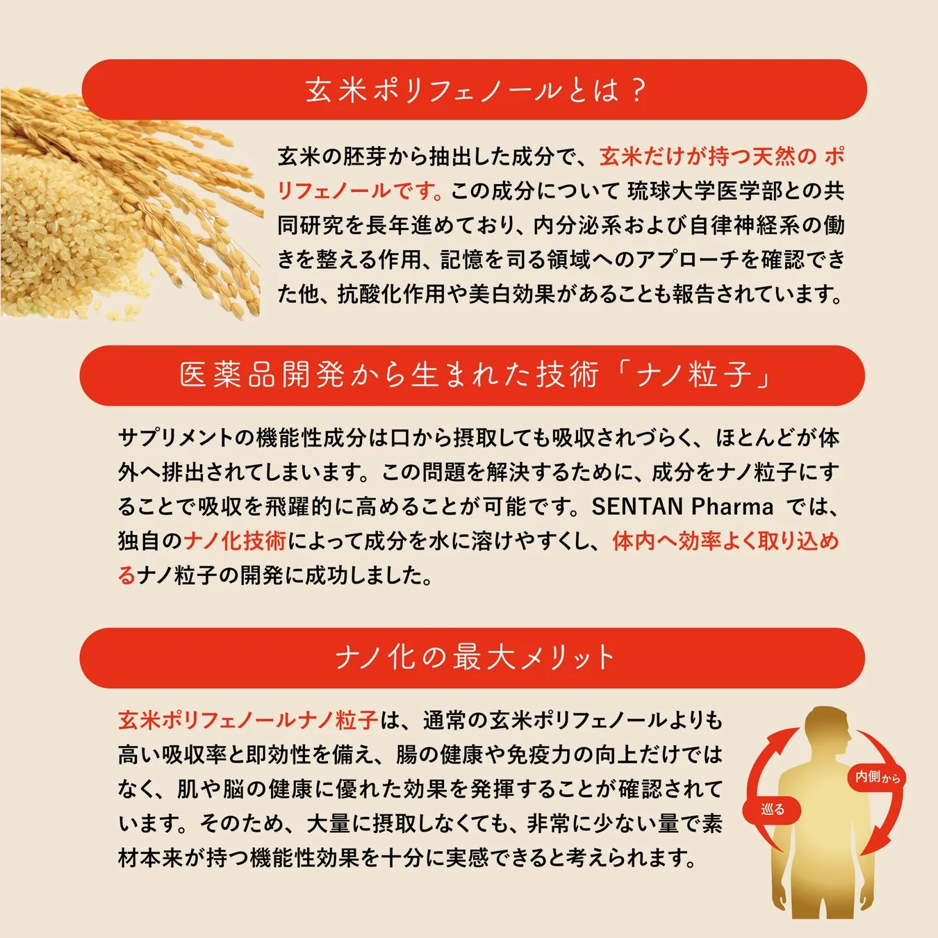 玄米ポリフェノールとは？