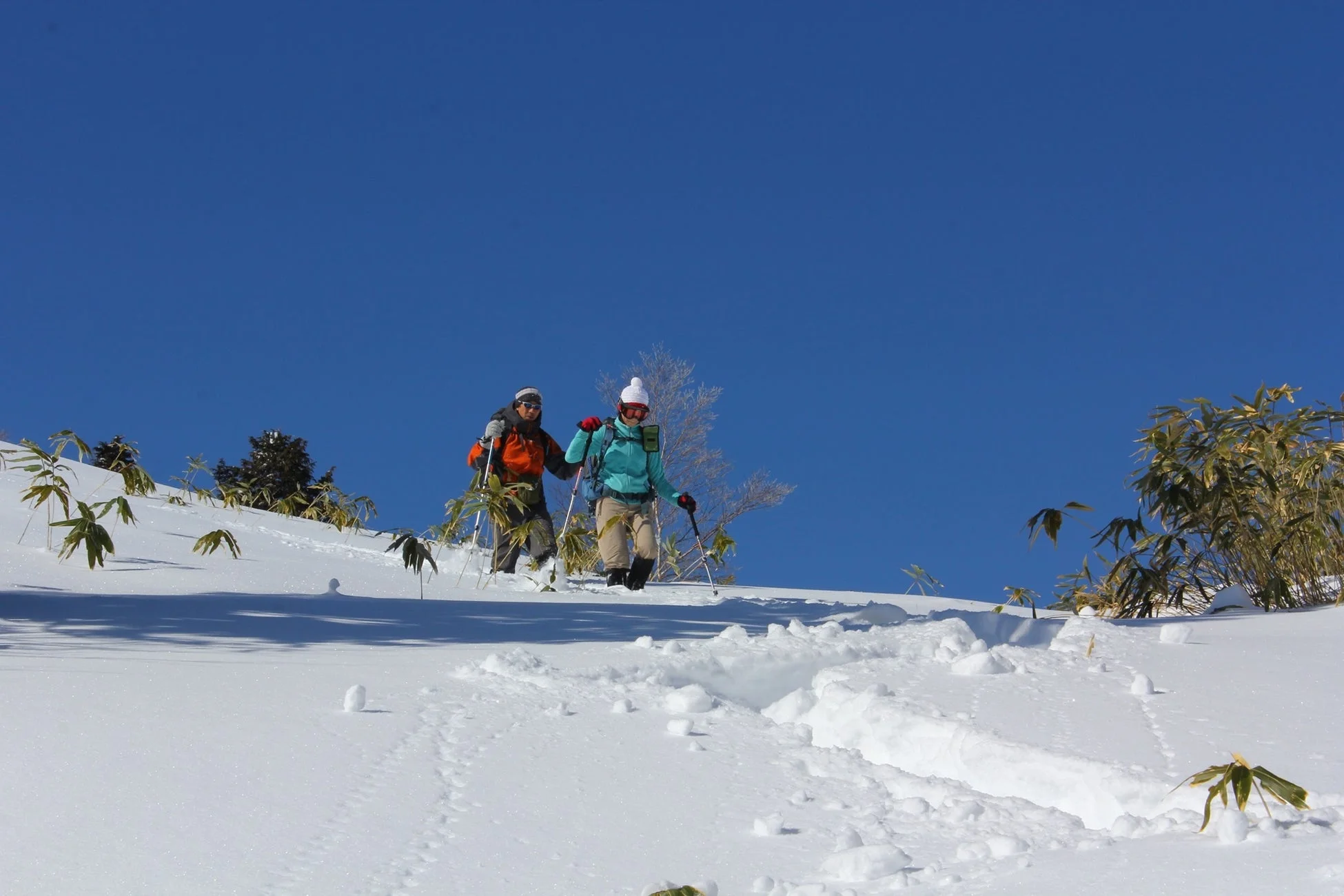 雪山をスノーシューで歩く人々の様子