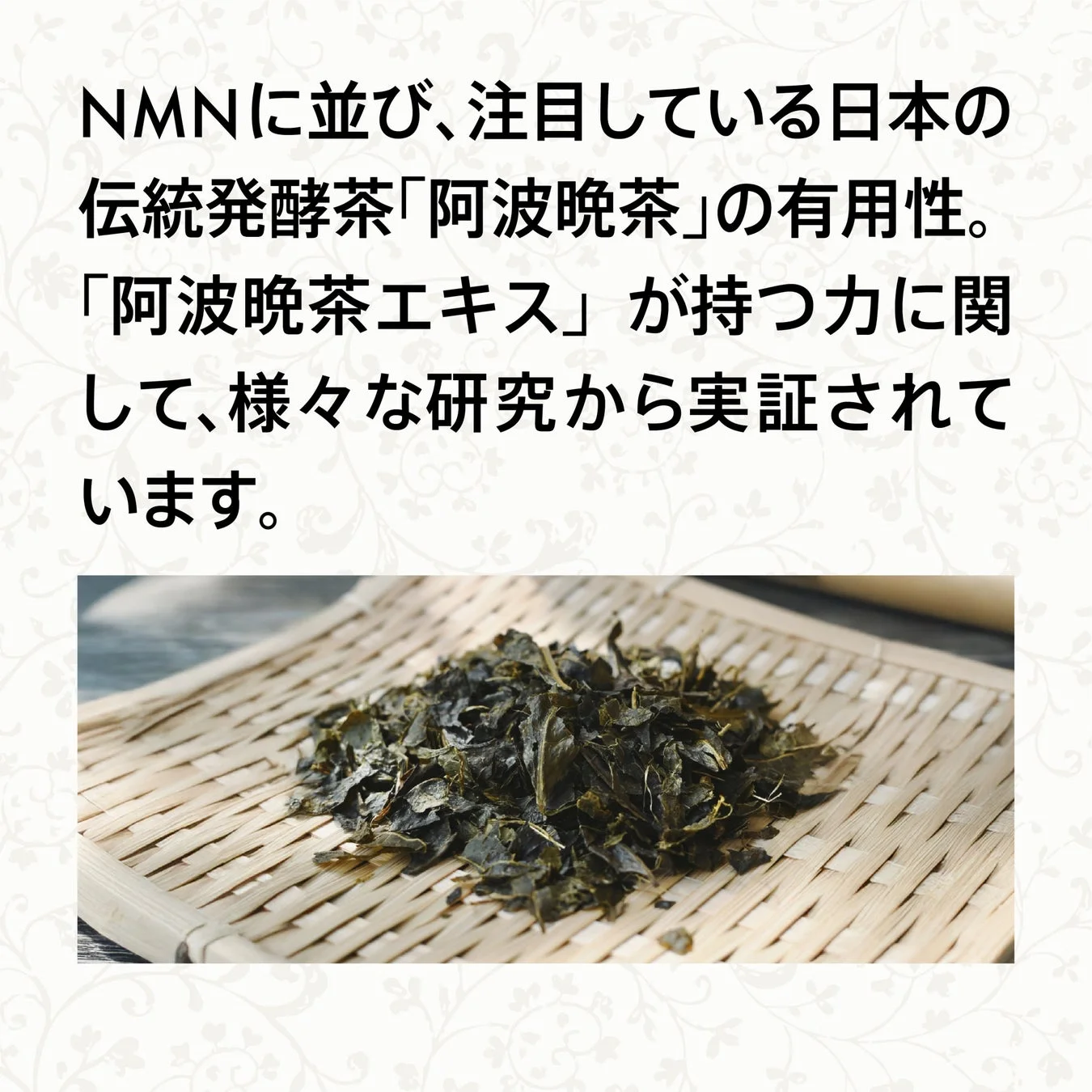 阿波晩茶エキスの有用性